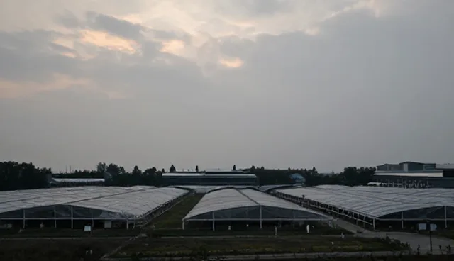 农机使用误区解析：提升农产品收购效率的关键
